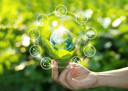 Ecology is the science that studies the interactions between living organisms and their environment, both physical and biological.
